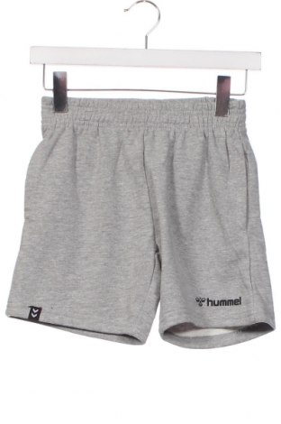 Детски къс панталон Hummel, Размер 9-10y/ 140-146 см, Цвят Сив, Цена 28,05 лв.