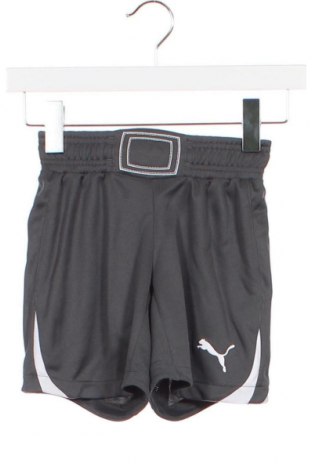 Kinder Shorts PUMA, Größe 6-7y/ 122-128 cm, Farbe Grau, Preis € 20,46