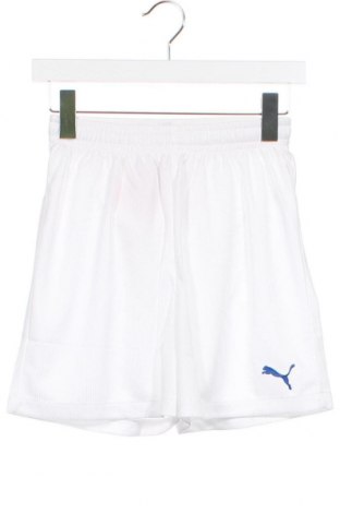Pantaloni scurți pentru copii PUMA, Mărime 12-13y/ 158-164 cm, Culoare Alb, Preț 128,95 Lei