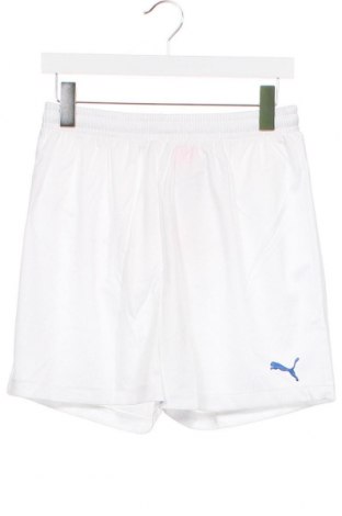 Kinder Shorts PUMA, Größe 15-18y/ 170-176 cm, Farbe Weiß, Preis € 13,64