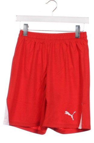 Детски къс панталон PUMA, Размер 12-13y/ 158-164 см, Цвят Червен, Цена 20,06 лв.