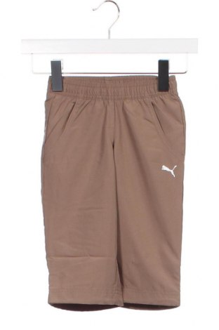 Pantaloni scurți pentru copii PUMA, Mărime 4-5y/ 110-116 cm, Culoare Bej, Preț 85,18 Lei