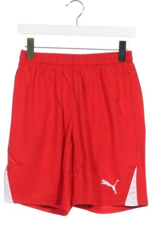 Παιδικό κοντό παντελόνι PUMA, Μέγεθος 12-13y/ 158-164 εκ., Χρώμα Κόκκινο, Τιμή 25,85 €