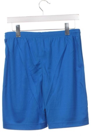 Kinder Shorts PUMA, Größe 15-18y/ 170-176 cm, Farbe Blau, Preis 10,25 €