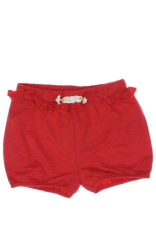 Παιδικό κοντό παντελόνι Zippy, Μέγεθος 18-24m/ 86-98 εκ., Χρώμα Κόκκινο, Τιμή 10,05 €