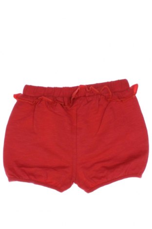 Παιδικό κοντό παντελόνι Zippy, Μέγεθος 18-24m/ 86-98 εκ., Χρώμα Κόκκινο, Τιμή 7,04 €
