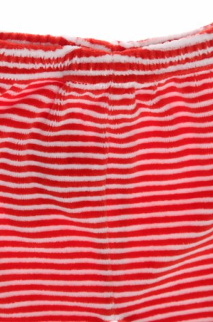 Παιδικό παντελόνι, Μέγεθος 3-6m/ 62-68 εκ., Χρώμα Κόκκινο, Τιμή 6,80 €