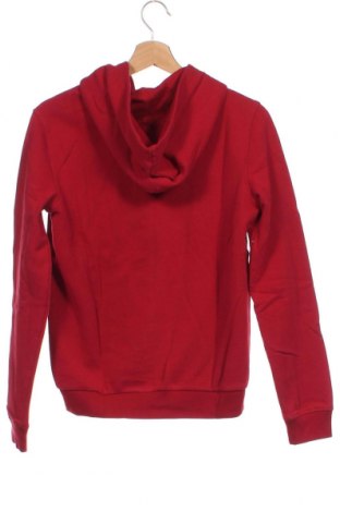 Kinder Sweatshirts Pepe Jeans, Größe 13-14y/ 164-168 cm, Farbe Rot, Preis 28,39 €