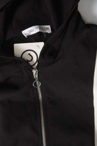 Kinder Sweatshirts Zara, Größe 13-14y/ 164-168 cm, Farbe Mehrfarbig, Preis € 9,06