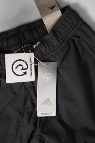 Pantaloni de trening, pentru copii Adidas, Mărime 7-8y/ 128-134 cm, Culoare Gri, Preț 244,90 Lei
