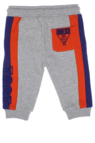 Kinder Sporthose Guess, Größe 3-6m/ 62-68 cm, Farbe Grau, Preis 61,34 €