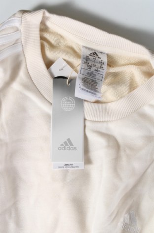 Herren Shirt Adidas, Größe L, Farbe Ecru, Preis € 29,80