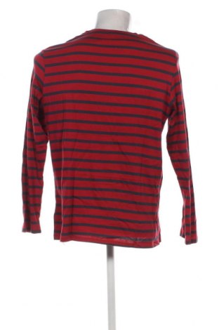 Herren Shirt Athena, Größe L, Farbe Mehrfarbig, Preis 8,31 €