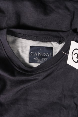 Ανδρική μπλούζα Canda, Μέγεθος L, Χρώμα Μπλέ, Τιμή 5,99 €