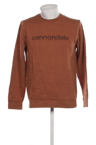 Ανδρική μπλούζα Cannondale, Μέγεθος L, Χρώμα Καφέ, Τιμή 7,05 €