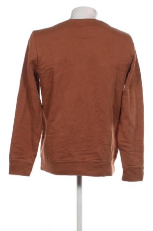 Ανδρική μπλούζα Cannondale, Μέγεθος L, Χρώμα Καφέ, Τιμή 11,75 €