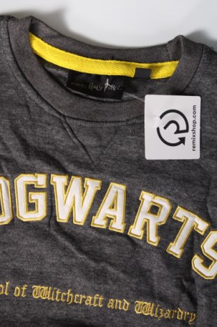 Ανδρική μπλούζα Harry Potter, Μέγεθος XS, Χρώμα Γκρί, Τιμή 16,70 €