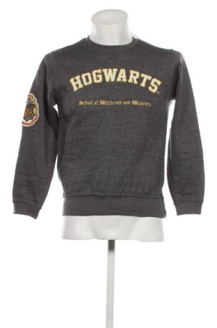 Ανδρική μπλούζα Harry Potter, Μέγεθος XS, Χρώμα Γκρί, Τιμή 8,35 €