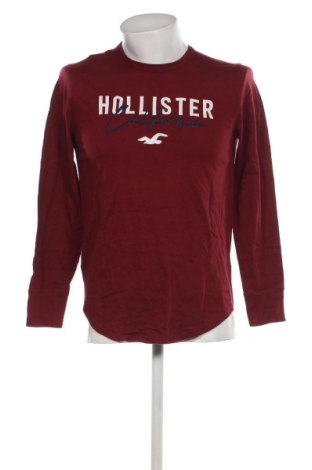 Herren Shirt Hollister, Größe S, Farbe Rot, Preis 11,27 €