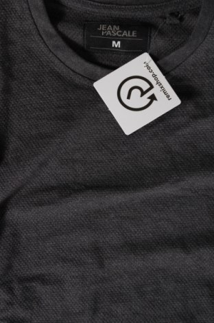 Ανδρική μπλούζα Jean Pascale, Μέγεθος M, Χρώμα Γκρί, Τιμή 4,35 €
