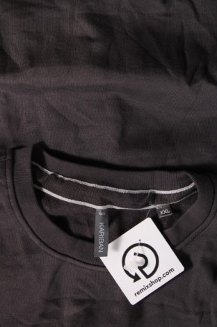 Ανδρική μπλούζα Kariban, Μέγεθος XXL, Χρώμα Γκρί, Τιμή 5,64 €