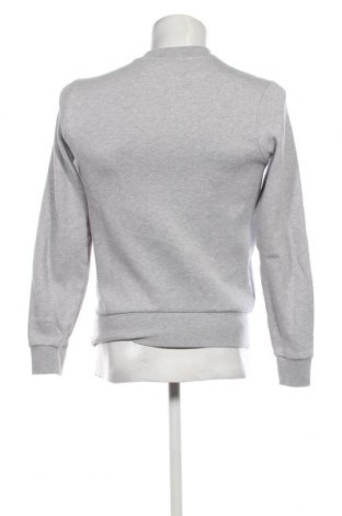 Herren Shirt Lacoste, Größe XXS, Farbe Grau, Preis 24,71 €