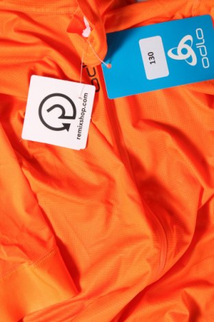 Herren Shirt Odlo, Größe L, Farbe Orange, Preis € 29,38