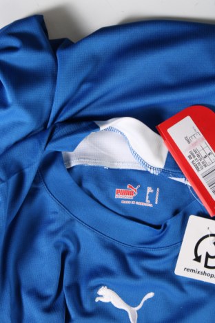 Ανδρική μπλούζα PUMA, Μέγεθος S, Χρώμα Μπλέ, Τιμή 21,43 €