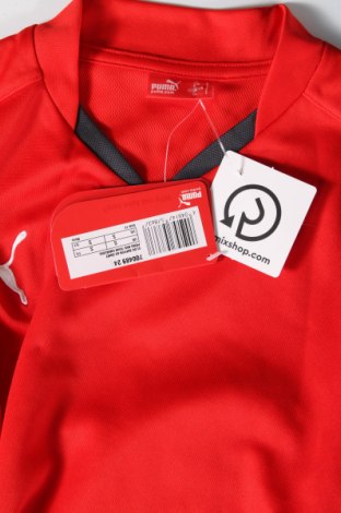 Pánské tričko  PUMA, Velikost S, Barva Červená, Cena  223,00 Kč