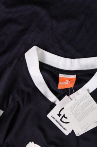 Ανδρική μπλούζα PUMA, Μέγεθος M, Χρώμα Μπλέ, Τιμή 21,43 €