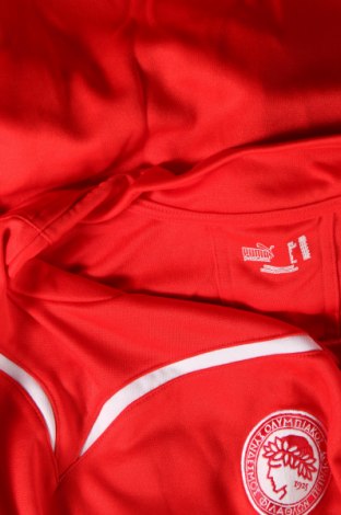 Herren Shirt PUMA, Größe XXL, Farbe Rot, Preis 39,69 €