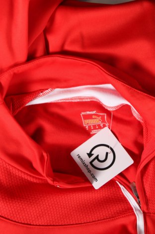 Ανδρική μπλούζα PUMA, Μέγεθος M, Χρώμα Κόκκινο, Τιμή 11,11 €