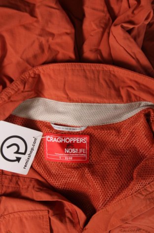 Herrenhemd, Größe S, Farbe Orange, Preis 3,03 €