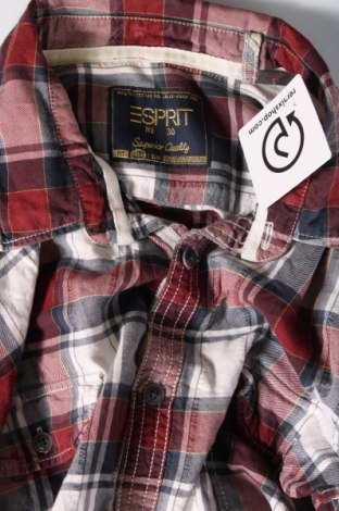 Herrenhemd Esprit, Größe XXL, Farbe Mehrfarbig, Preis 12,78 €