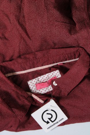 Herrenhemd Van Den Bergh, Größe S, Farbe Rot, Preis 8,64 €
