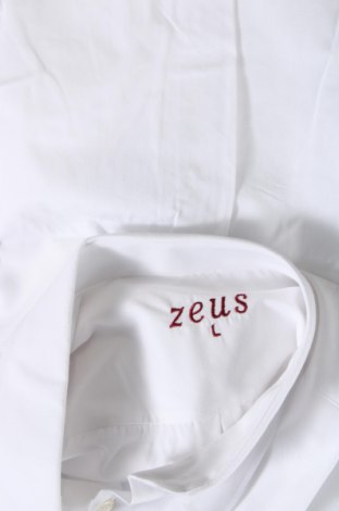 Ανδρικό πουκάμισο Zeus, Μέγεθος L, Χρώμα Λευκό, Τιμή 7,56 €
