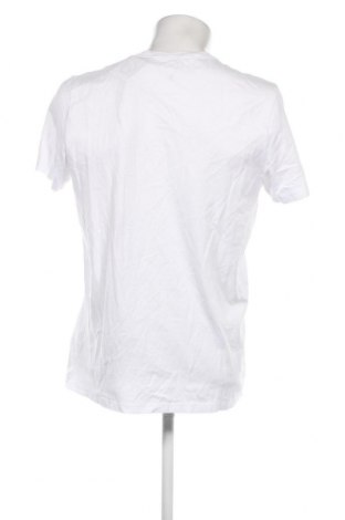Herren T-Shirt Hollister, Größe L, Farbe Weiß, Preis € 15,98