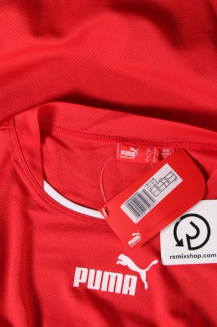 Ανδρικό t-shirt PUMA, Μέγεθος XL, Χρώμα Κόκκινο, Τιμή 30,04 €
