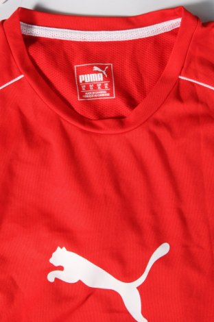 Męski T-shirt PUMA, Rozmiar XL, Kolor Czerwony, Cena 86,36 zł