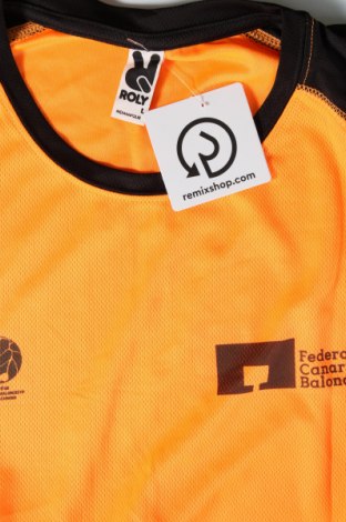 Herren T-Shirt Roly, Größe L, Farbe Orange, Preis € 9,05