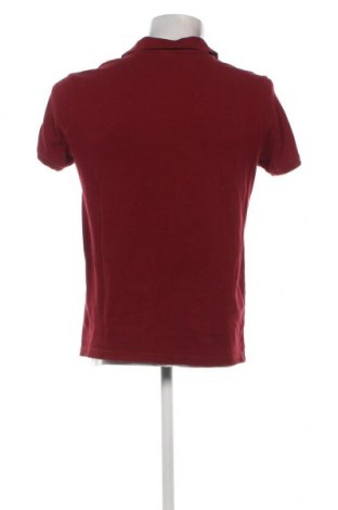 Herren T-Shirt U.S. Polo Assn., Größe L, Farbe Rot, Preis € 17,90