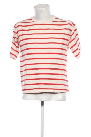 Herren T-Shirt Zara, Größe L, Farbe Mehrfarbig, Preis 6,68 €
