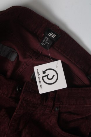 Ανδρικό κοτλέ παντελόνι H&M, Μέγεθος S, Χρώμα Κόκκινο, Τιμή 8,50 €