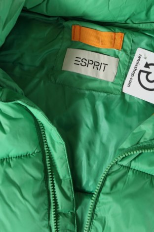 Ανδρικό γιλέκο Esprit, Μέγεθος S, Χρώμα Πράσινο, Τιμή 61,86 €