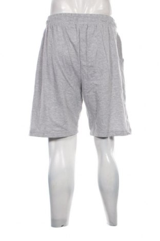 Ανδρικό κοντό παντελόνι, Μέγεθος XL, Χρώμα Γκρί, Τιμή 20,62 €