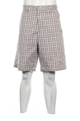 Ανδρικό κοντό παντελόνι Ashworth, Μέγεθος XL, Χρώμα Πολύχρωμο, Τιμή 56,37 €