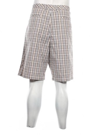 Ανδρικό κοντό παντελόνι Ashworth, Μέγεθος XL, Χρώμα Πολύχρωμο, Τιμή 20,69 €