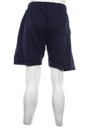 Ανδρικό κοντό παντελόνι Blancheporte, Μέγεθος XL, Χρώμα Μπλέ, Τιμή 8,35 €