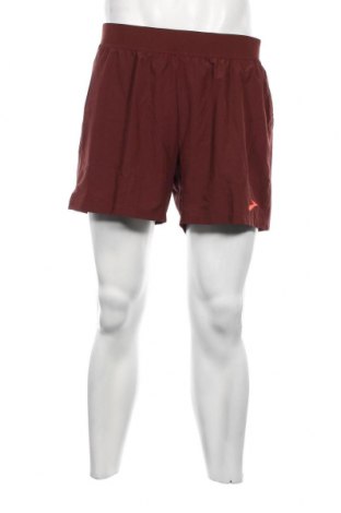 Ανδρικό κοντό παντελόνι Brooks, Μέγεθος L, Χρώμα Καφέ, Τιμή 28,87 €