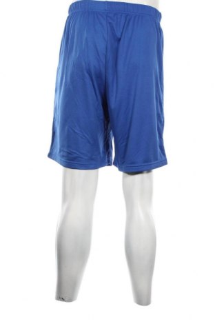 Herren Shorts Champion, Größe L, Farbe Blau, Preis € 6,35